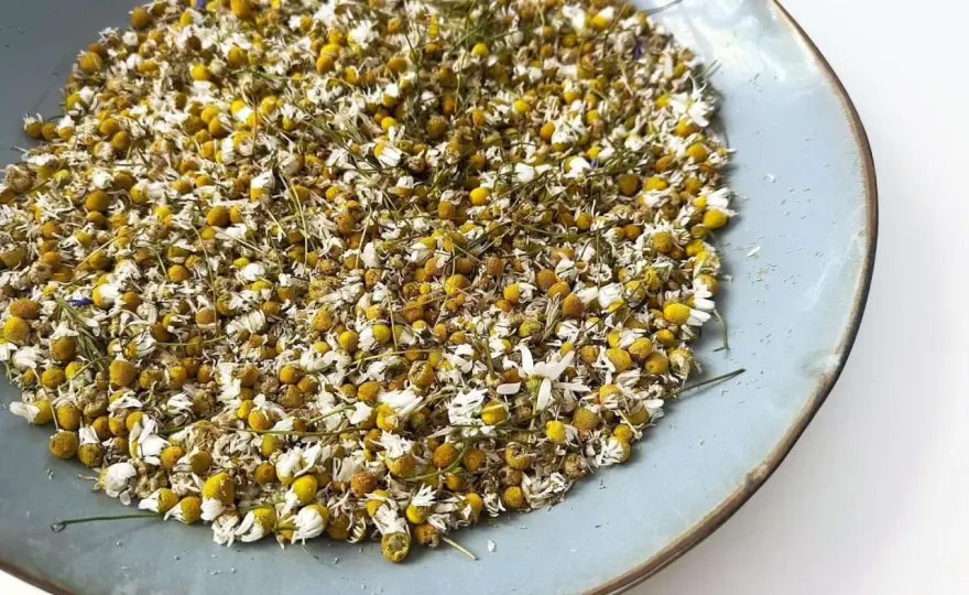 Kamillentee selber machen - So gelingt der perfekte Aufguss!