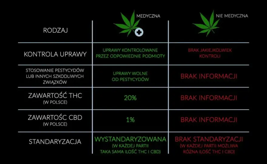 Medyczna marihuana z THC: Jak działa, ile go jest, czy uzależnia?