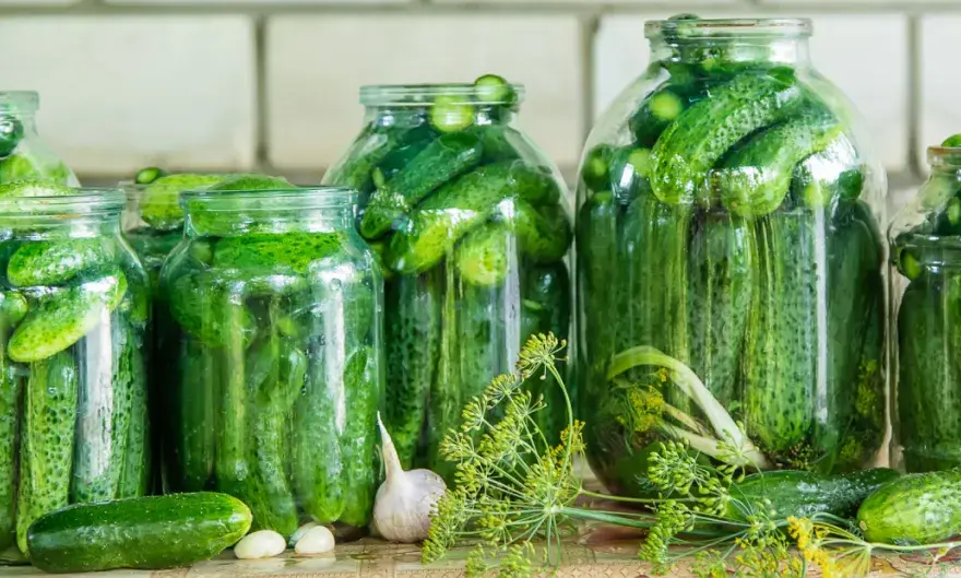 Jak kisić ogórki w garnku - proste kroki, które ułatwią fermentację