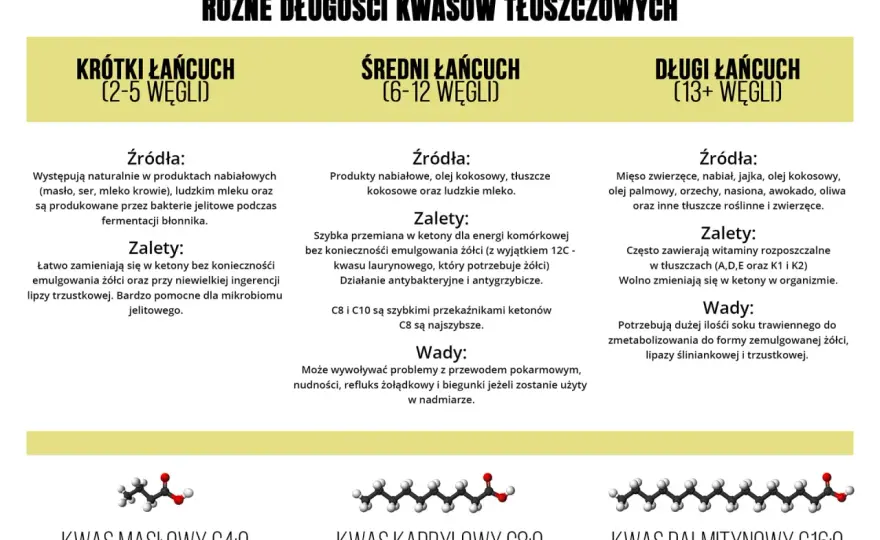 Krótkołańcuchowe kwasy tłuszczowe: 5 korzyści dla zdrowia