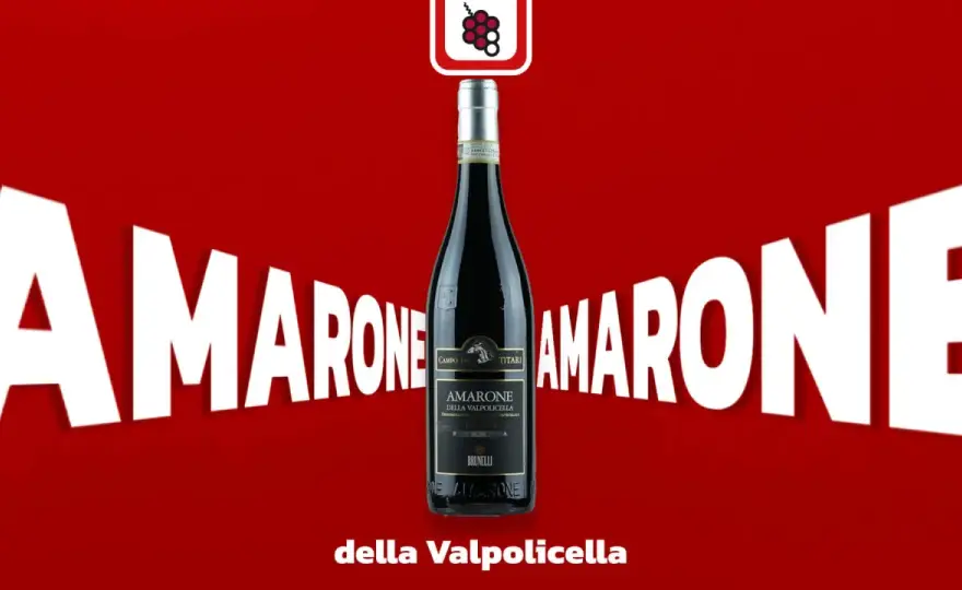 Amarone i inne - Wina z podsuszanych gron. Jak wybrać i łączyć?
