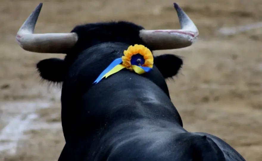 Cambio de tercio en toros - ¿Cómo leer la lidia?