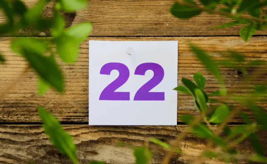 Liczba Mistrzowska 22 - Numerologia 22 - Znaczenie i Wpływ