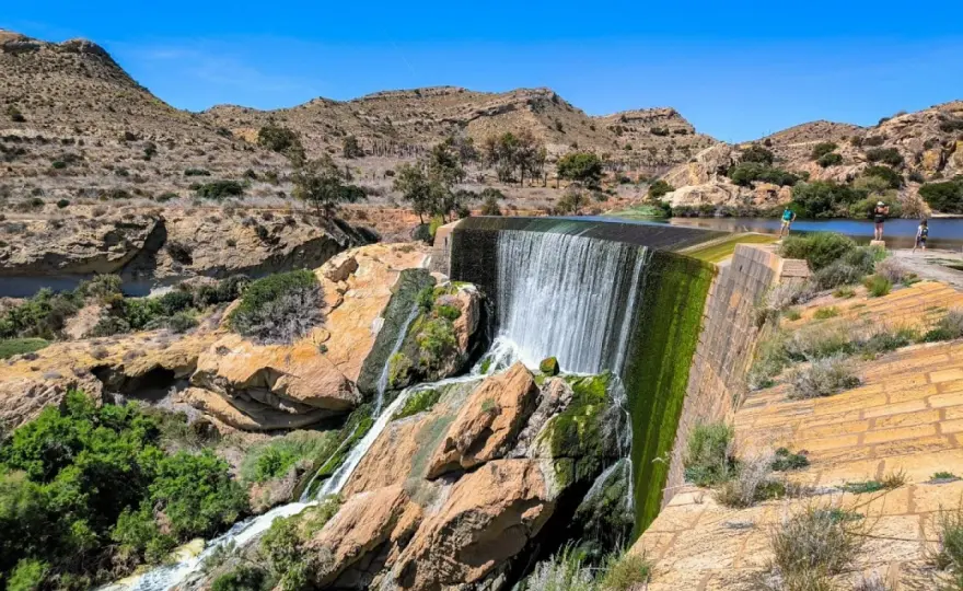Pantano de Elche - Historia, rutas y consejos para tu visita