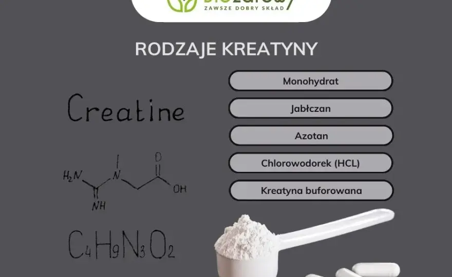 Kreatyna codziennie: Czy warto? Poznaj zasady dawkowania i bezpieczeństwo
