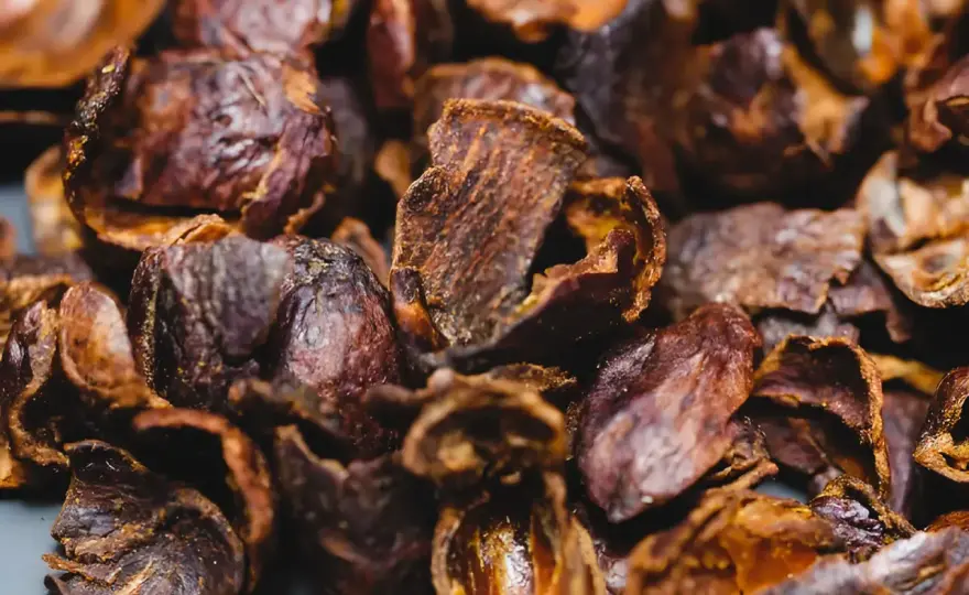Cascara - co to jest i jak parzyć? Przewodnik po naparze z kawowca