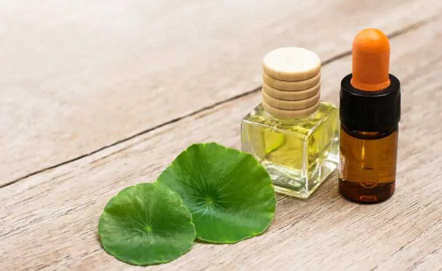 Centella asiática en cosmética - Guía para elegir bien