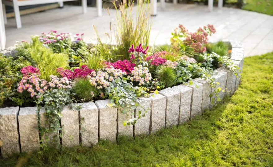 Ziergarten gestalten - so passen typische Gartenpflanzen zusammen