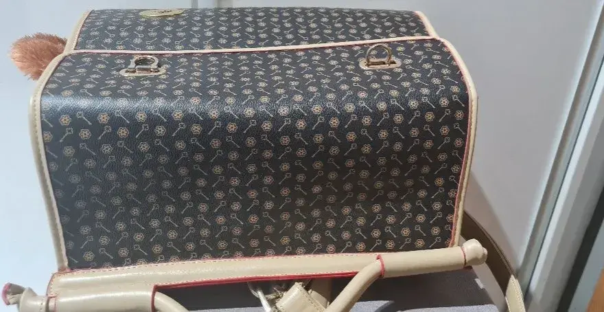 Luksusowy transporter dla psa Louis Vuitton - komfort i elegancja