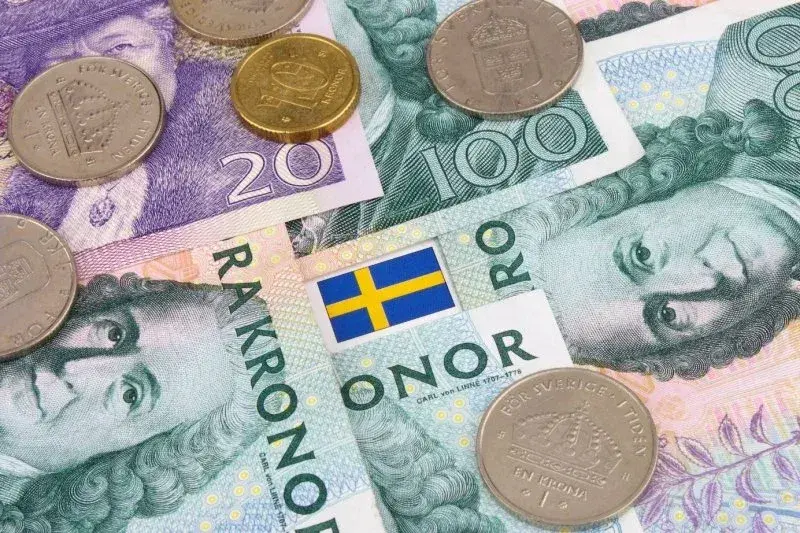 Ile zarabia dekarz w Szwecji? Zaskakujące różnice w wynagrodzeniach