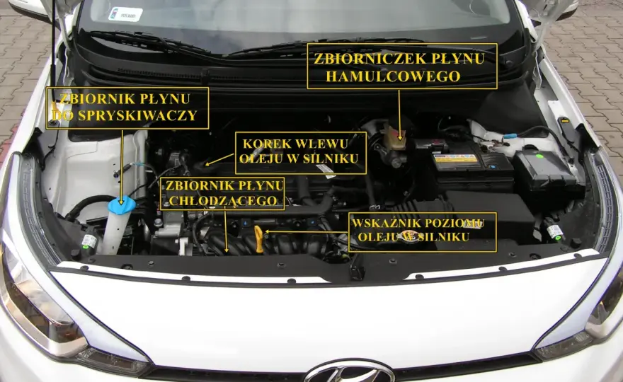 Płyny pod maską - jak sprawdzać je bezpiecznie i bez błędów
