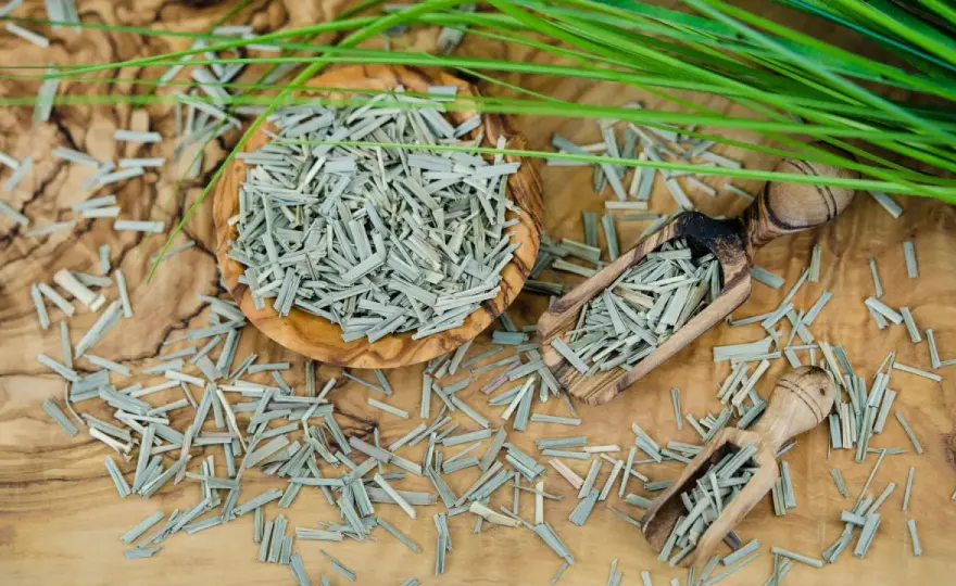 Zitronengras richtig zubereiten – So gelingt Aroma pur