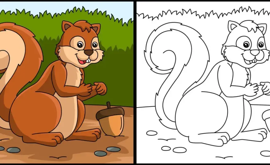 Ardilla para colorear - Guía completa para elegir y disfrutar