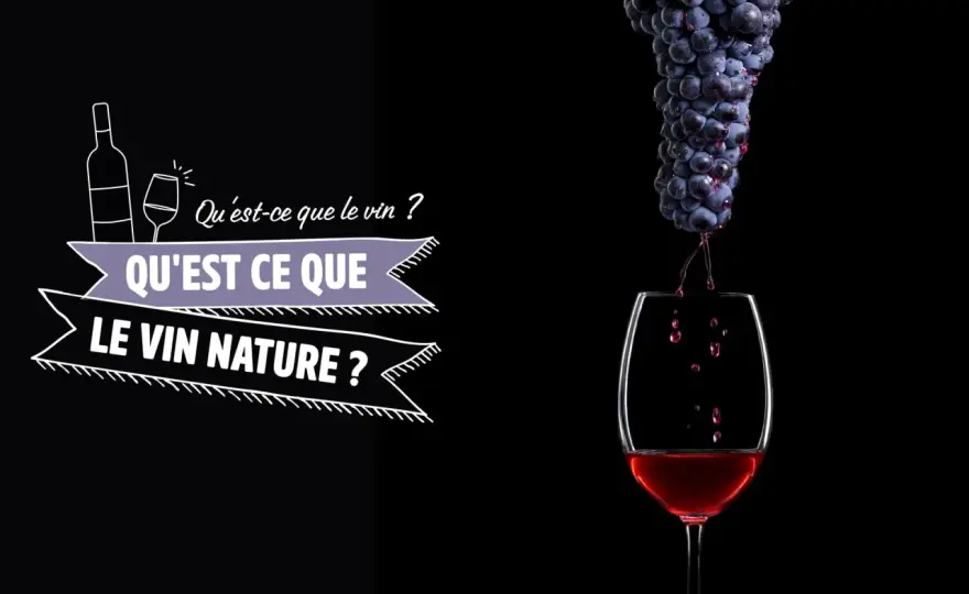 Vin nature - Comment choisir une bonne bouteille ?