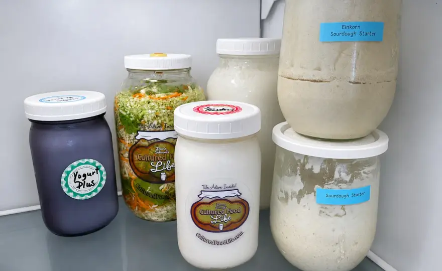 Milchkefir im Urlaub pausieren - so bleibt die Kultur stabil
