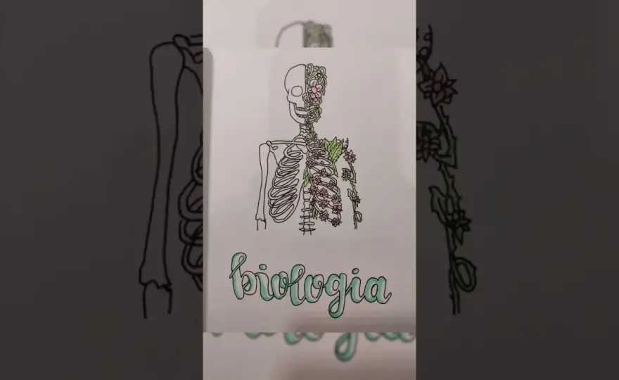 Jak ozdobić zeszyt do biologii, aby był wyjątkowy i inspirujący