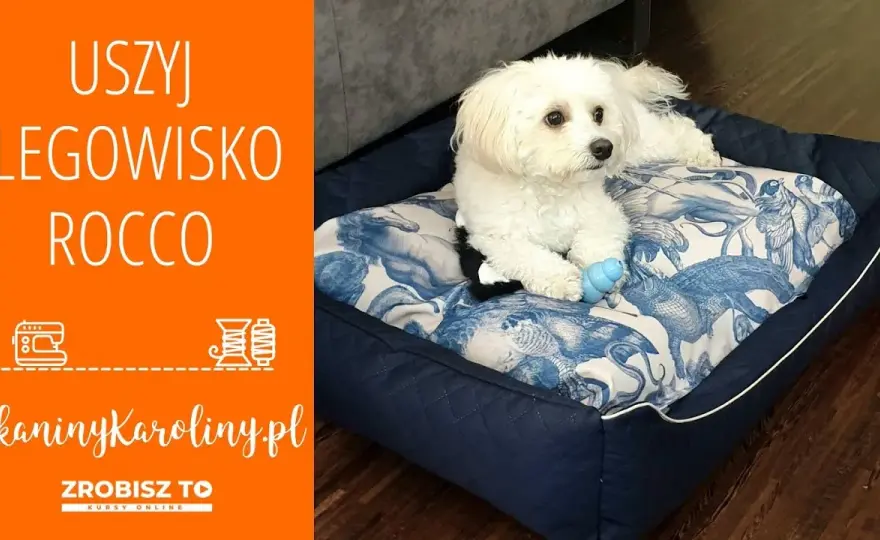 Samodzielne legowisko dla psa z poduszki? Prosty poradnik DIY!