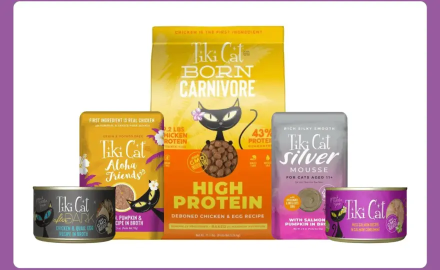 Tiki Cat Food Review - Is It Good For Your Cat?