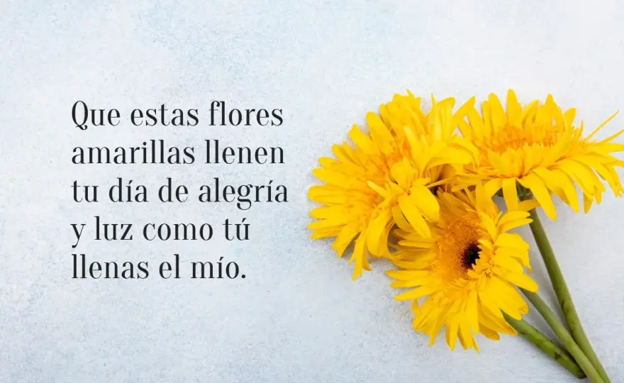 Frases de primavera - Cómo elegir la perfecta para ti