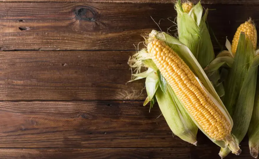 Ist Mais gesund? So passt er sinnvoll in deine Ernährung