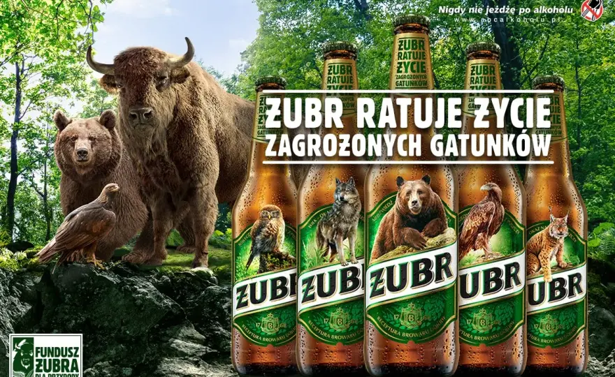 Symbol Białowieskiego Parku Narodowego? To oczywiście żubr
