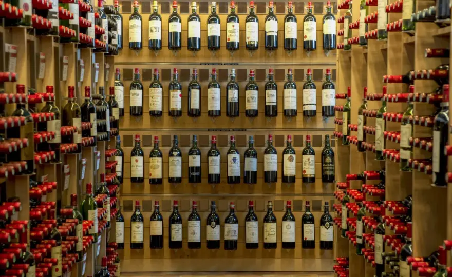 Saint-Émilion verstehen - Weine, Terroir & Besuch planen