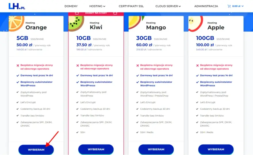 Jak zrobić stronę WordPress? Krok po kroku bez programowania