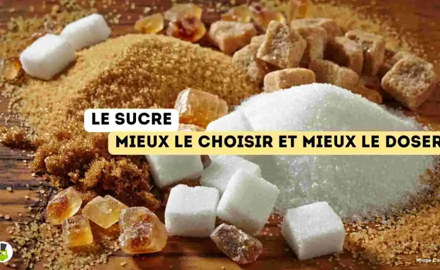 Meilleur sucre naturel - Choisissez le bon pour vos recettes