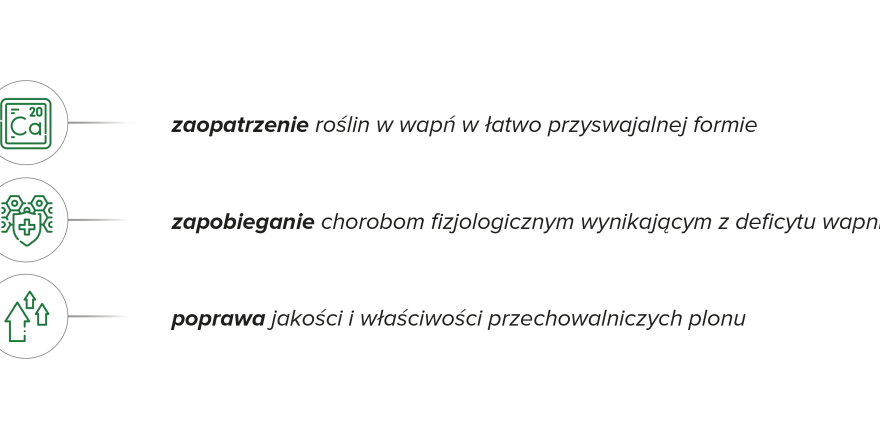 WAPNOVIT® TURBO - Kiedy wapń ratuje plon? Sprawdź!