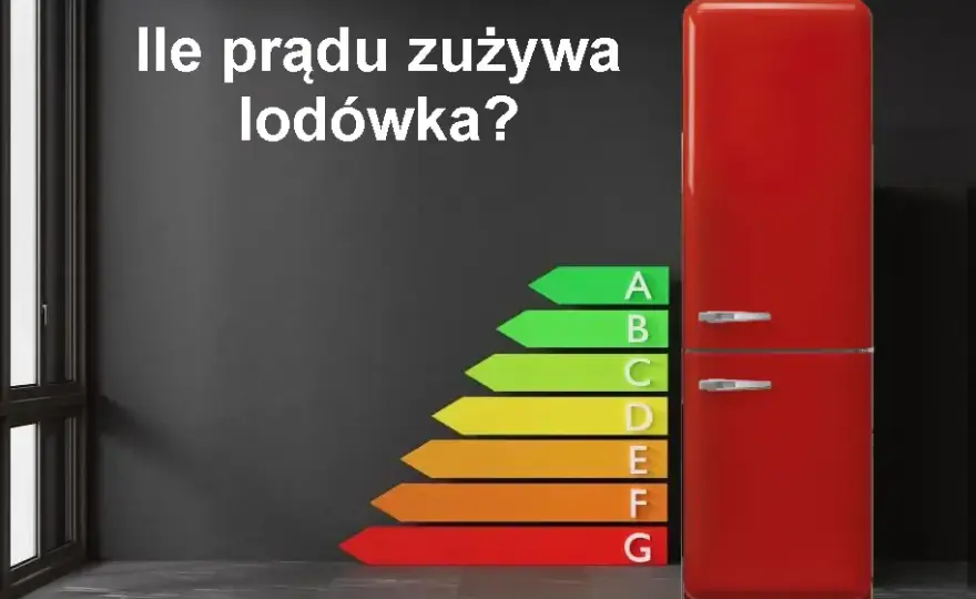 Dobowe zużycie energii przez lodówkę Statystyki