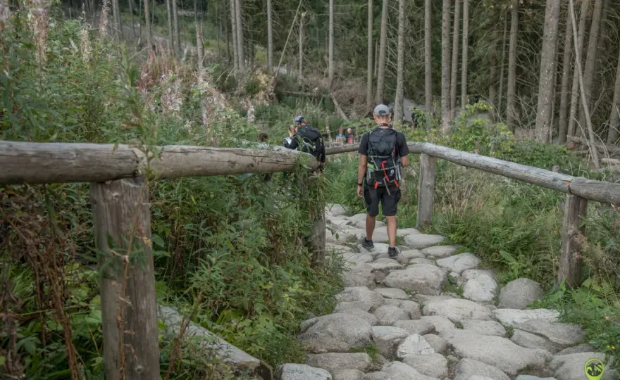 Morskie Oko z Palenicy - ile trwa trasa i co warto wiedzieć