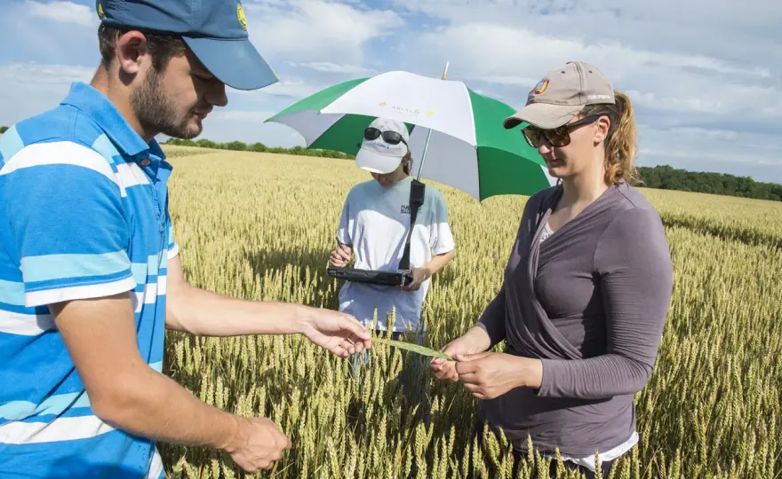 OAD Agricole - Décidez mieux - Guide pour une ferme française