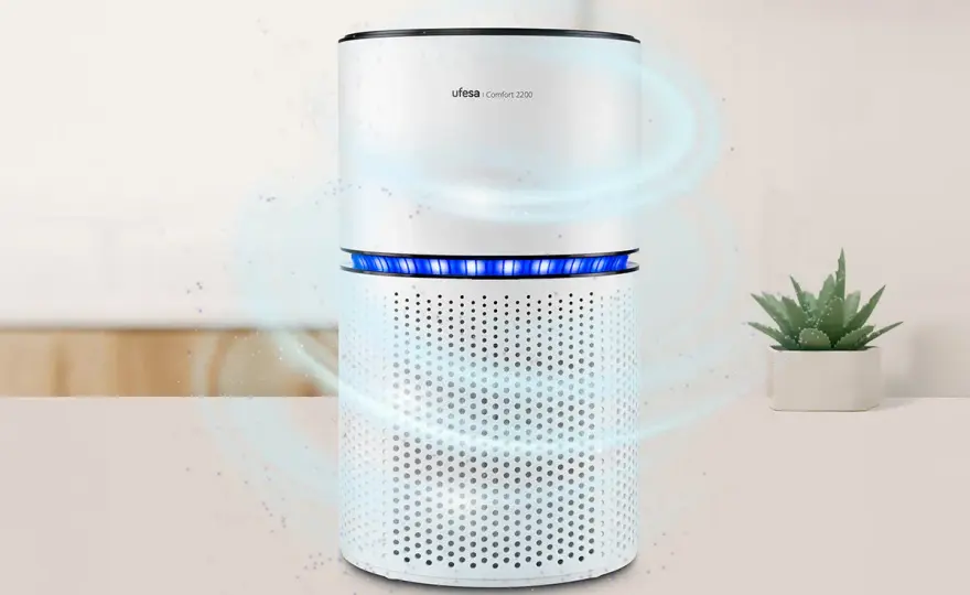 Cómo purificar el aire en casa sin comprar de más