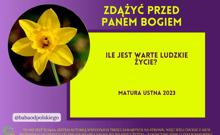 Bezcenne życie: jak wycenia je sąd, ekonomia i polisa?