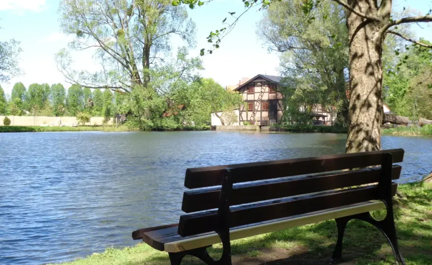 Dolina Radości w Oliwie - co zobaczyć i jak zaplanować trasę