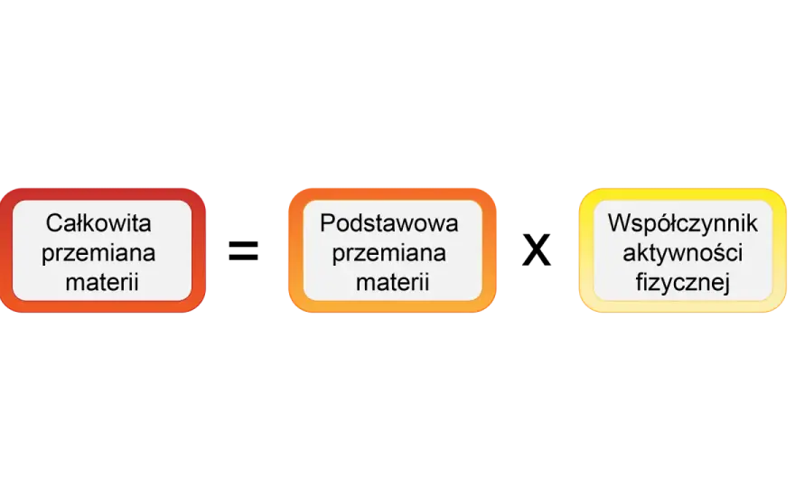 Całkowita przemiana materii - Jak obliczyć CPM i mądrze schudnąć?