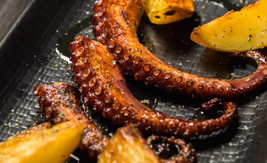 Poulpe à la plancha - Le secret d'une chair tendre et savoureuse