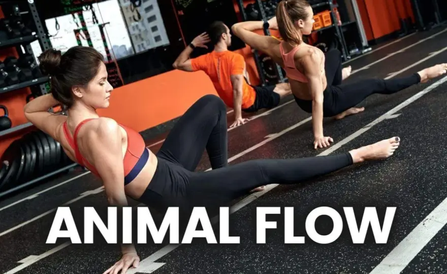 Joga flow - płynny ruch dla mobilności i kondycji?