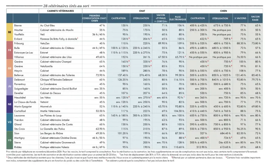 Stérilisation chienne - Prix, devis et économies possibles