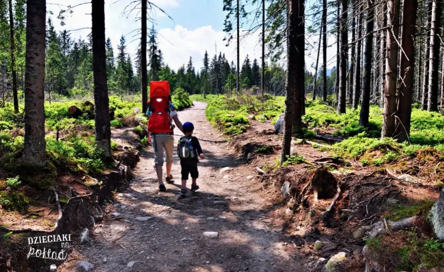 Tatry z dzieckiem: Sprawdzone szlaki dla rodzin, od wózka po starszaka