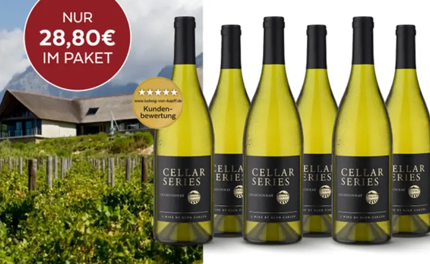 Chardonnay verstehen - Stil, Geschmack & Speisen