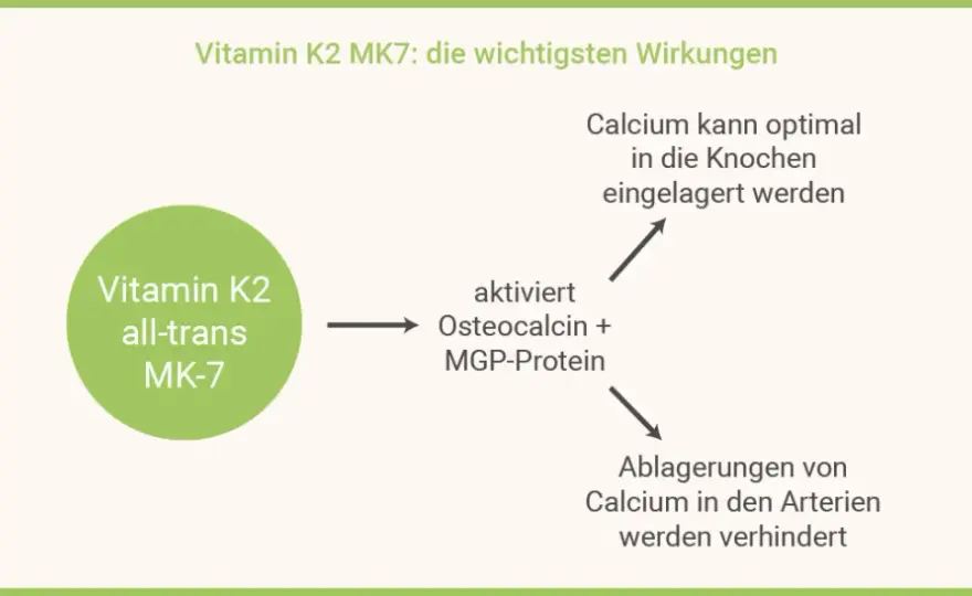 Die überraschenden Vorteile von K2MK7 Vitamin für Ihre Gesundheit