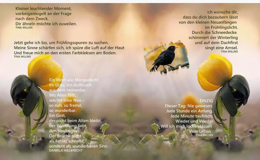 Segen in der Gemeinde - Mehr als nur ein Wort?