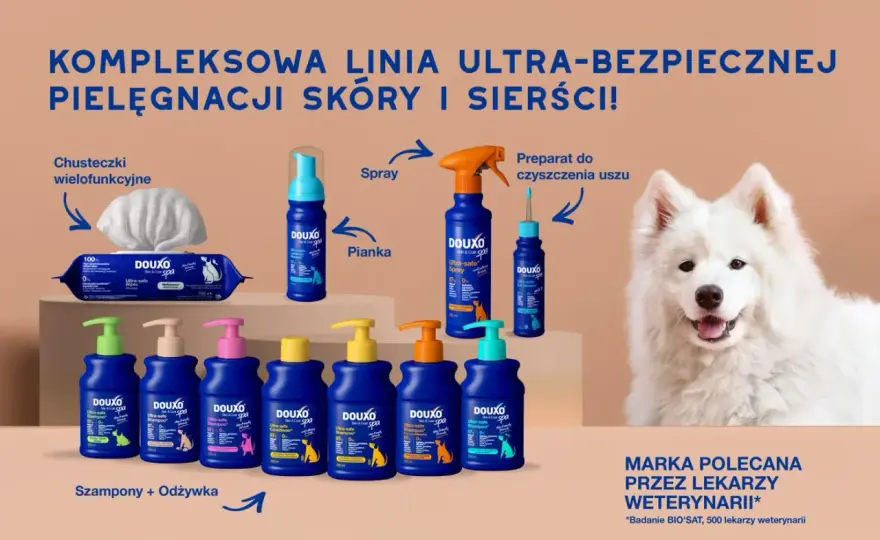 Jaki szampon dla psa - Jak dobrać produkt do skóry i sierści?