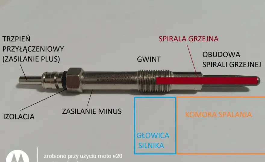 Świece żarowe w dieslu - Kiedy wymieniać? Objawy, koszty