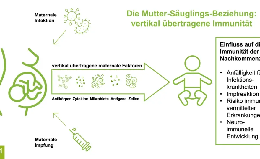 Boostrix - Wann die Tdap-Auffrischung wirklich wichtig ist