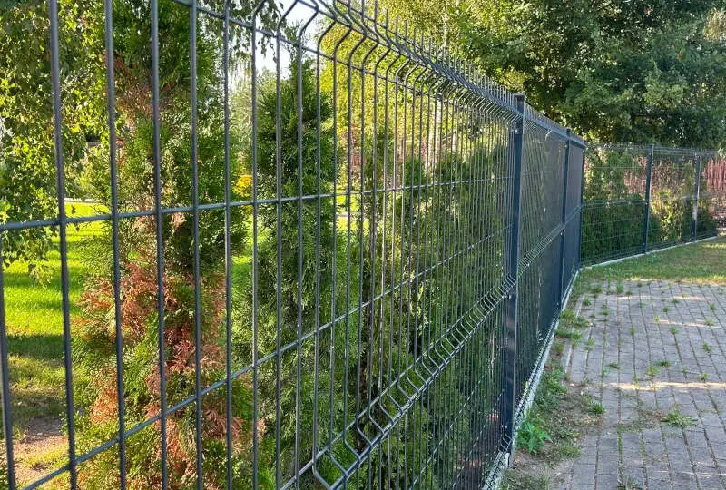 Co posadzić przy ogrodzeniu z siatki, aby zyskać piękny i prywatny ogród