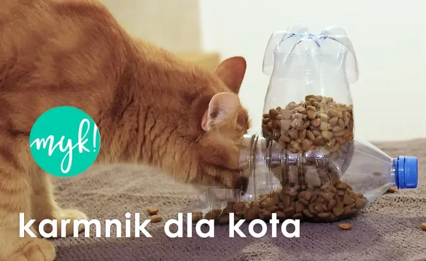 Dozownik karmy dla psa DIY: Zrób to sam, bezpiecznie i tanio!