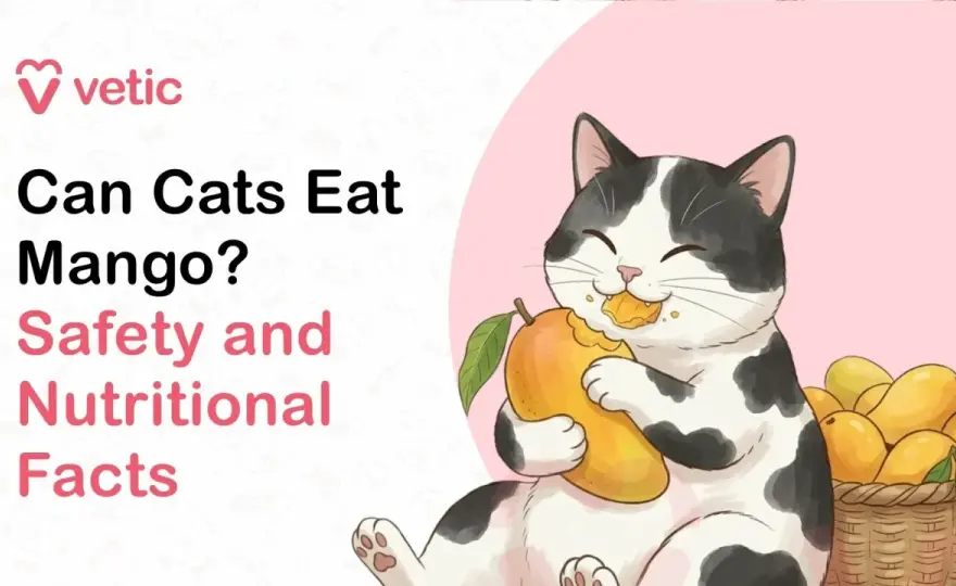 Can Cats Eat Mango? Safety, Risks & Healthy Alternatives