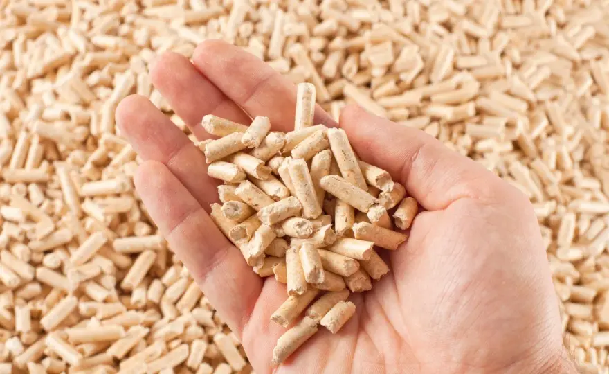 Pellet Stelmet Zielona Góra: Jakość, Ceny, Gdzie Kupić?